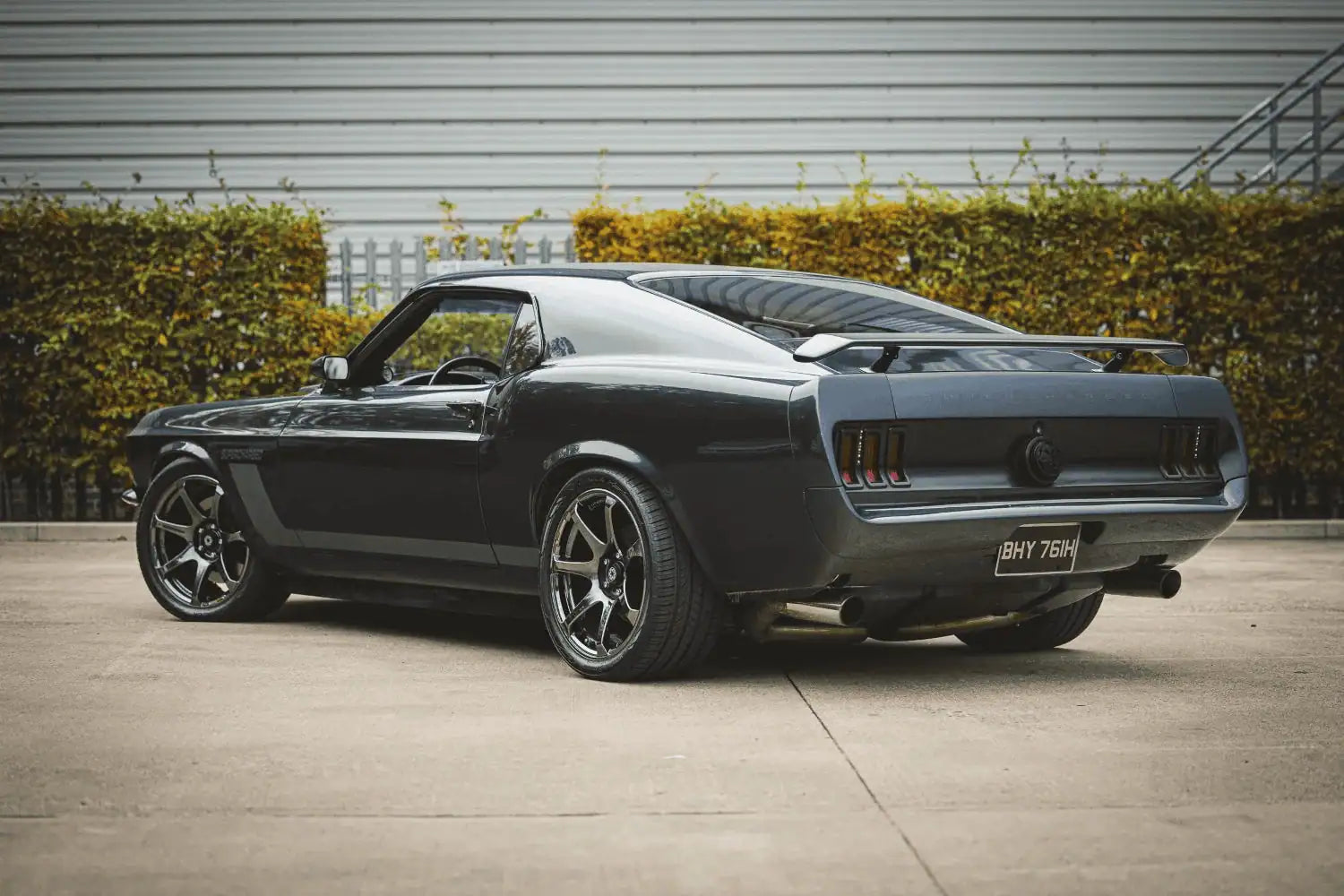 Mustang